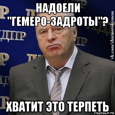 надоели "гемеро-задроты"? хватит это терпеть, Мем Хватит это терпеть (Жириновский)