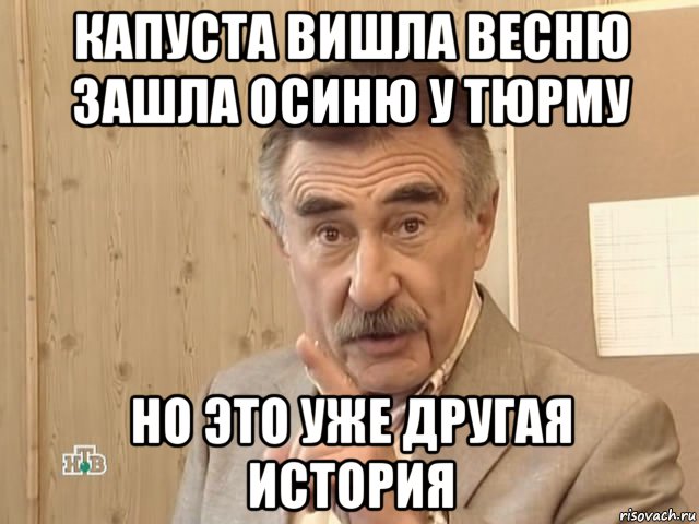 капуста вишла весню зашла осиню у тюрму но это уже другая история, Мем Каневский (Но это уже совсем другая история)