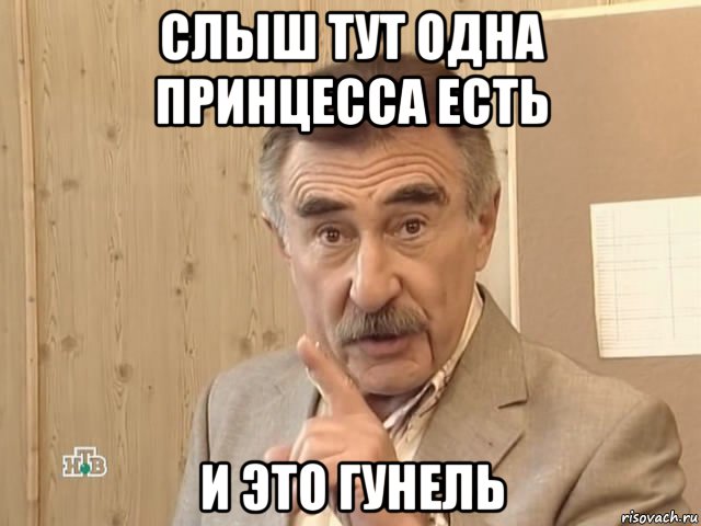 слыш тут одна принцесса есть и это гунель, Мем Каневский (Но это уже совсем другая история)