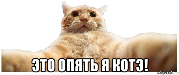  это опять я котэ!, Мем   Кэтсвилл