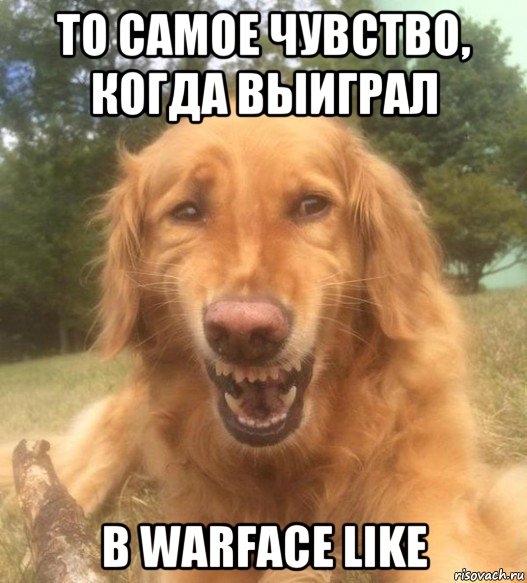 то самое чувство, когда выиграл в warface like