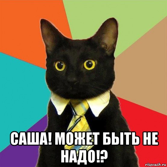  саша! может быть не надо!?, Мем  Кошечка