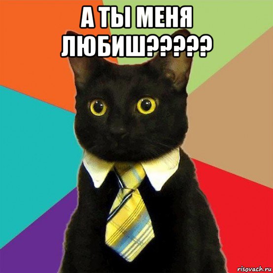 а ты меня любиш????? , Мем  Кошечка