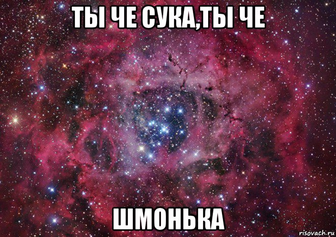 ты че сука,ты че шмонька, Мем Ты просто космос