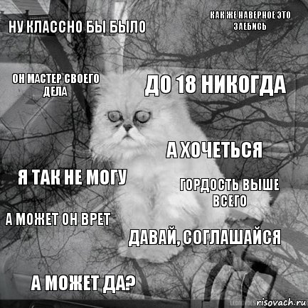 ну классно бы было гордость выше всего до 18 никогда а может да? я так не могу как же наверное это заебись Давай, соглашайся он мастер своего дела а может он врет а хочеться, Комикс  кот безысходность