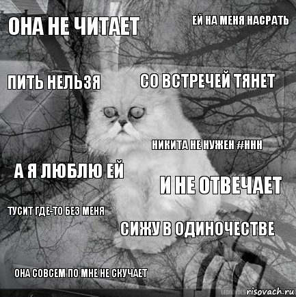 она не читает и не отвечает со встречей тянет она совсем по мне не скучает а я люблю ей ей на меня насрать сижу в одиночестве пить нельзя тусит где-то без меня Никита не нужен #ннн, Комикс  кот безысходность