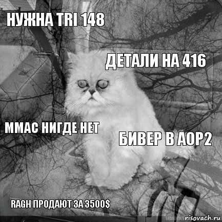 нужна TRI 148 бивер в АОР2 детали на 416 RAGH продают за 3500$ MMAC нигде нет     , Комикс  кот безысходность