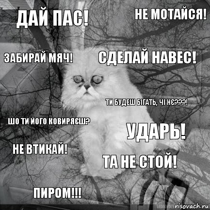 Дай пас! Ударь! Сделай навес! пиром!!! шо ти його ковиряєш? не мотайся! та не стой! Забирай мяч! Не втикай! Ти будеш бігать, чі нє???!, Комикс  кот безысходность