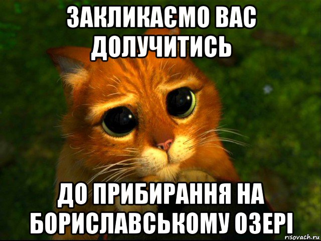 закликаємо вас долучитись до прибирання на бориславському озері, Мем кот из шрека