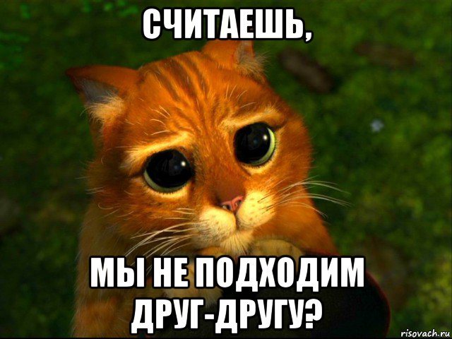 считаешь, мы не подходим друг-другу?, Мем кот из шрека