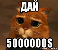 дай 5000000$, Мем Кот из Шрека