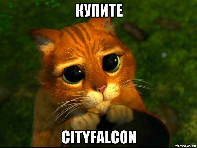 купите cityfalcon, Мем кот из шрека