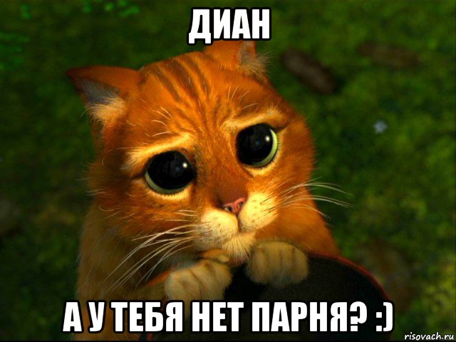 диан а у тебя нет парня? :), Мем кот из шрека