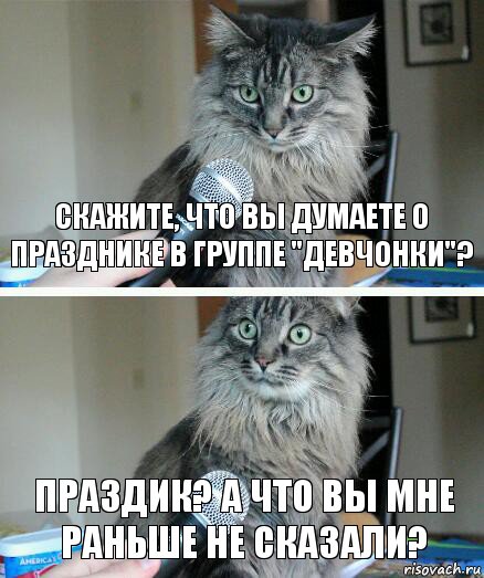 Скажите, что вы думаете о празднике в группе "Девчонки"? Праздик? А что вы мне раньше не сказали?, Комикс  кот с микрофоном