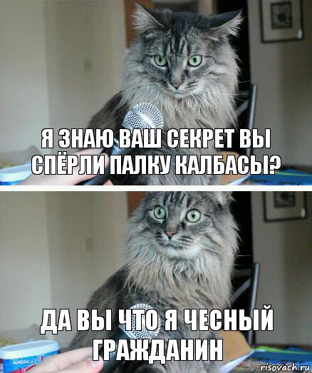 я знаю ваш секрет вы спёрли палку калбасы? Да вы что я чесный гражданин, Комикс  кот с микрофоном