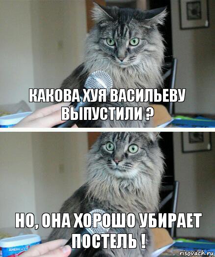 КАКОВА ХУЯ ВАСИЛЬЕВУ ВЫПУСТИЛИ ? НО, ОНА ХОРОШО УБИРАЕТ ПОСТЕЛЬ !, Комикс  кот с микрофоном