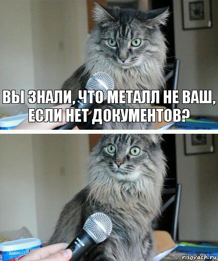 Вы знали, что металл не Ваш, если нет документов? , Комикс  кот с микрофоном