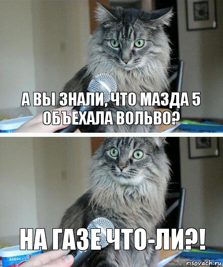 А Вы знали, что Мазда 5 объехала Вольво? На газе что-ли?!, Комикс  кот с микрофоном