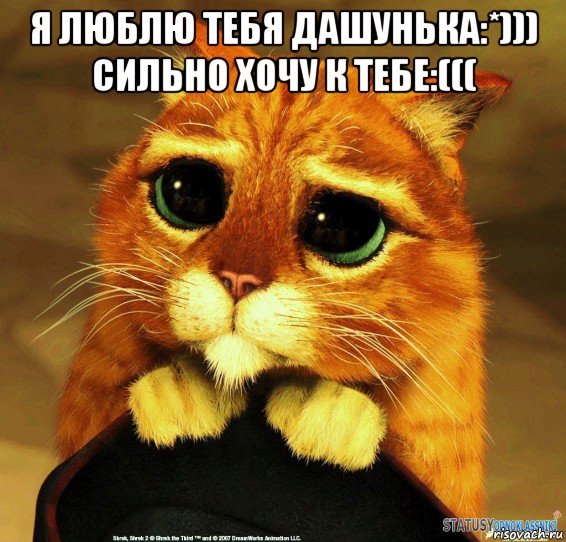 я люблю тебя дашунька:*))) сильно хочу к тебе:((( , Мем Котик из Шрека