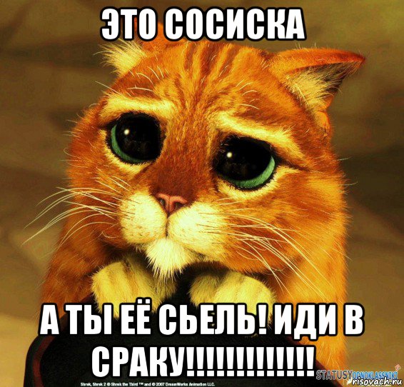 это сосиска а ты её сьель! иди в сраку!!!!!!!!!!!!!, Мем Котик из Шрека