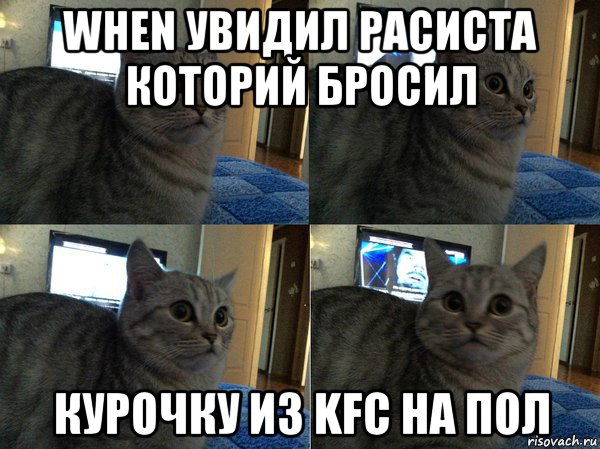 when увидил расиста которий бросил курочку из kfc на пол, Мем  Кот в шоке