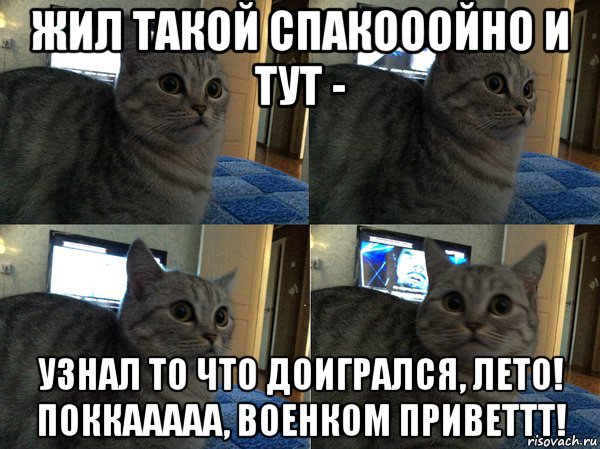 жил такой спакооойно и тут - узнал то что доигрался, лето! поккааааа, военком приветтт!, Мем  Кот в шоке