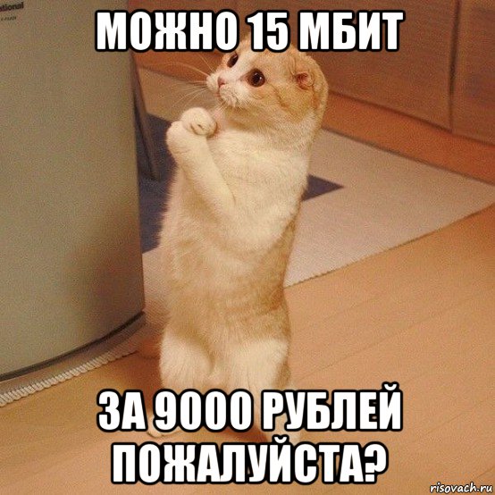 можно 15 мбит за 9000 рублей пожалуйста?, Мем  котэ молится