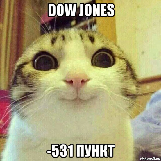 dow jones -531 пункт, Мем       Котяка-улыбака