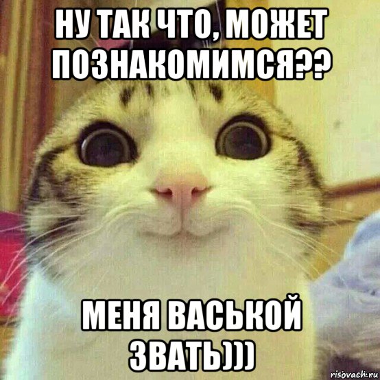 ну так что, может познакомимся?? меня васькой звать))), Мем       Котяка-улыбака