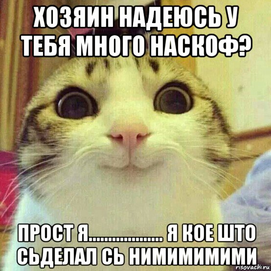 хозяин надеюсь у тебя много наскоф? прост я................... я кое што сьделал сь нимимимими, Мем       Котяка-улыбака