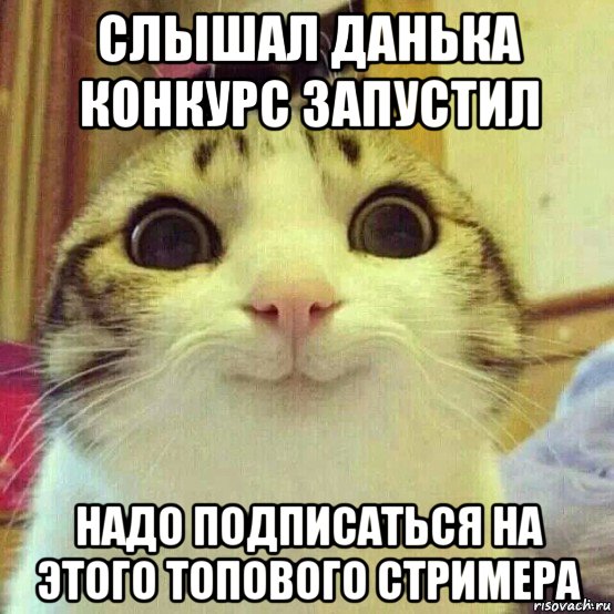 слышал данька конкурс запустил надо подписаться на этого топового стримера, Мем       Котяка-улыбака