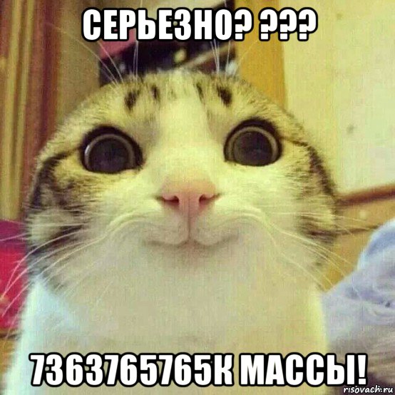 серьезно? ??? 7363765765к массы!, Мем       Котяка-улыбака