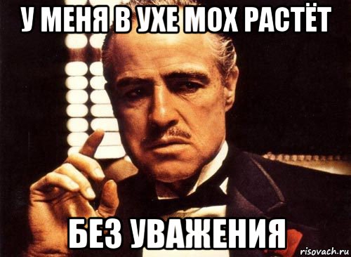 у меня в ухе мох растёт без уважения