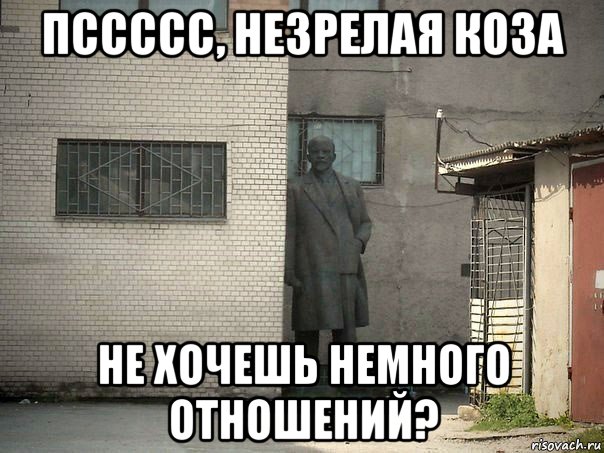 пссссс, незрелая коза не хочешь немного отношений?, Мем  Ленин за углом (пс, парень)