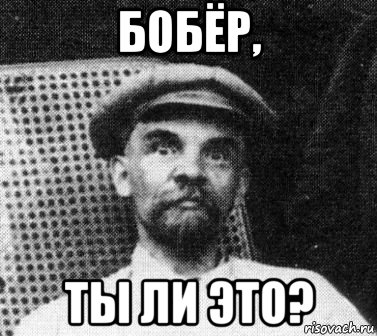 бобёр, ты ли это?, Мем   Ленин удивлен