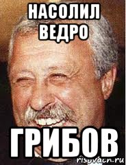 насолил ведро грибов, Мем LOL