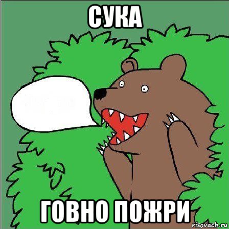 сука говно пожри, Мем Медведь-шлюха