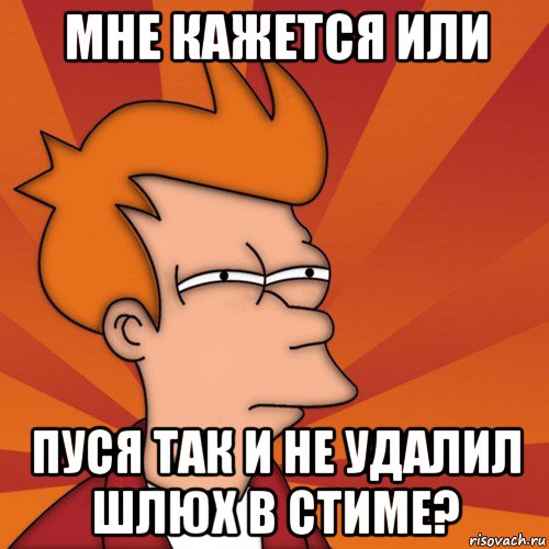 мне кажется или пуся так и не удалил шлюх в стиме?, Мем Мне кажется или (Фрай Футурама)