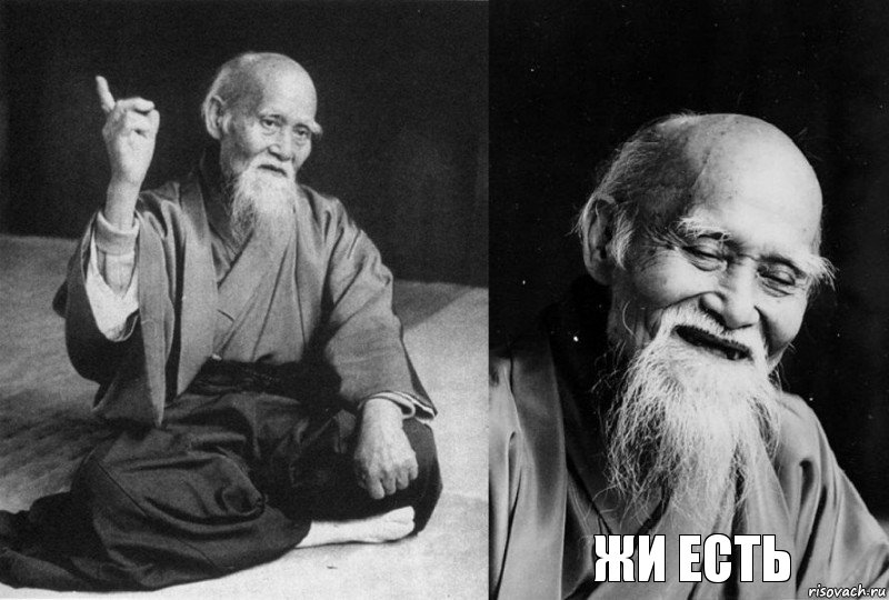    ЖИ ЕСТЬ, Комикс Мудрец-монах (4 зоны)