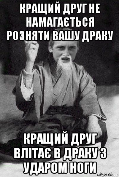 кращий друг не намагається розняти вашу драку кращий друг влітає в драку з ударом ноги, Мем Мудрий паца