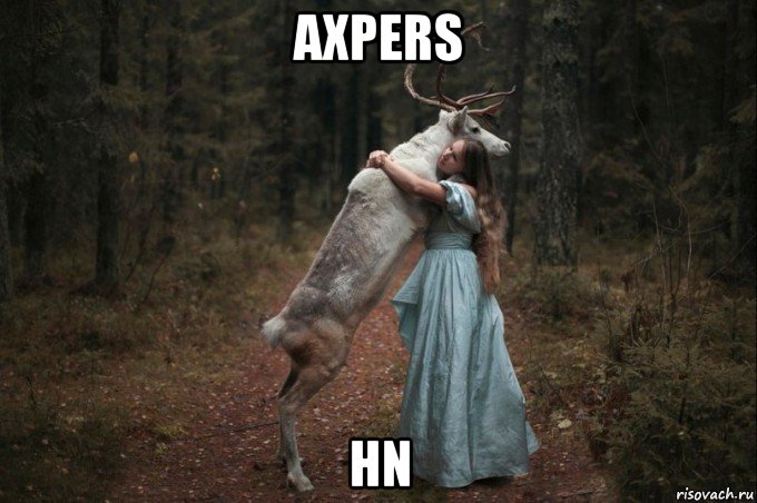 axpers hn, Мем Наивный Олень шаблон 5