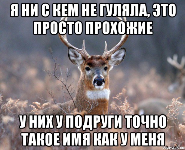 я ни с кем не гуляла, это просто прохожие у них у подруги точно такое имя как у меня, Мем   Наивный олень