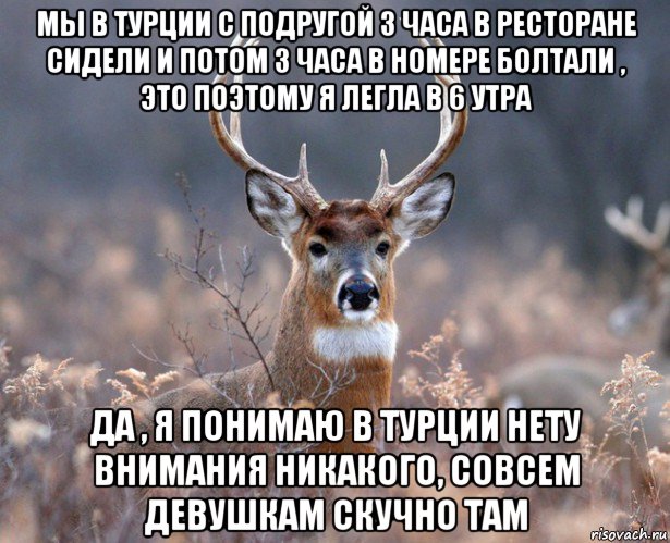 мы в турции с подругой 3 часа в ресторане сидели и потом 3 часа в номере болтали , это поэтому я легла в 6 утра да , я понимаю в турции нету внимания никакого, совсем девушкам скучно там, Мем   Наивный олень