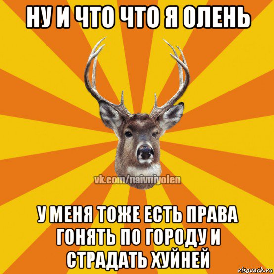 ну и что что я олень у меня тоже есть права гонять по городу и страдать хуйней, Мем Наивный Олень вк