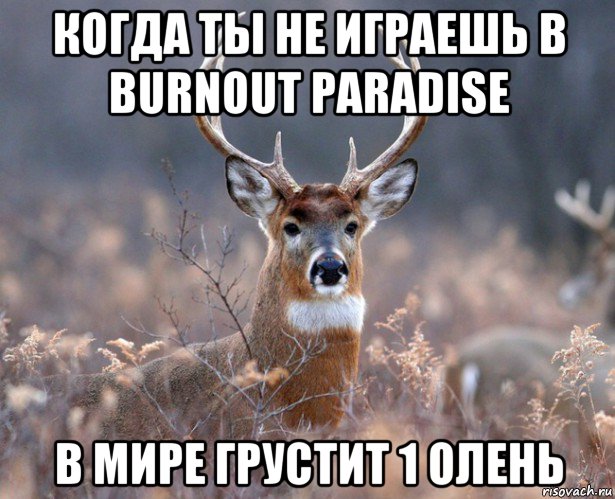когда ты не играешь в burnout paradise в мире грустит 1 олень, Мем   Наивный олень