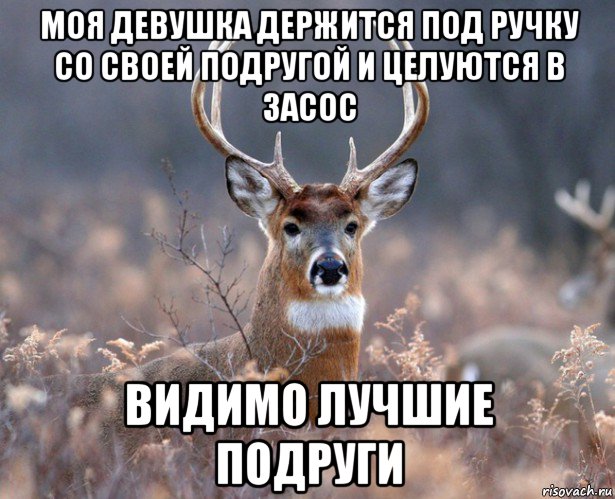 моя девушка держится под ручку со своей подругой и целуются в засос видимо лучшие подруги, Мем   Наивный олень