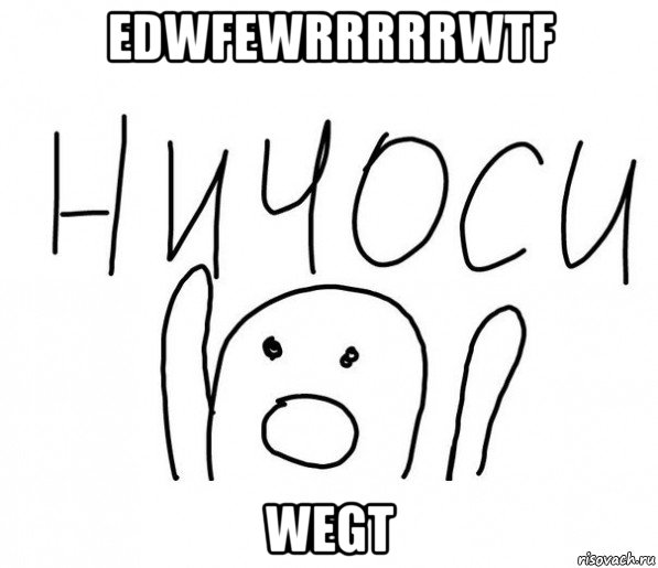 edwfewrrrrrwtf wegt, Мем  Ничоси