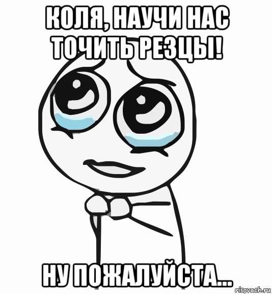 коля, научи нас точить резцы! ну пожалуйста..., Мем  ну пожалуйста (please)