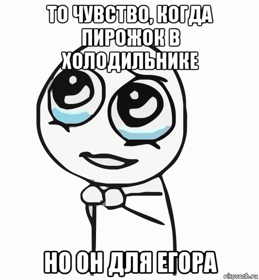 то чувство, когда пирожок в холодильнике но он для егора, Мем  ну пожалуйста (please)