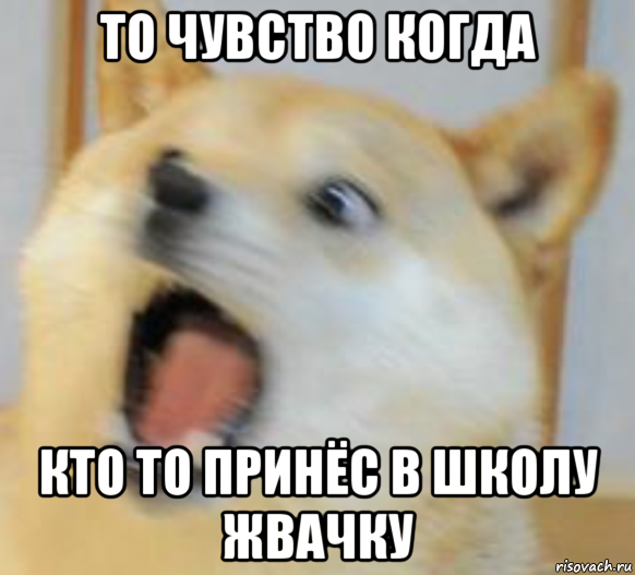 то чувство когда кто то принёс в школу жвачку